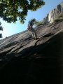 picture thumbnail