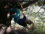 picture thumbnail