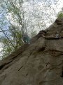 picture thumbnail