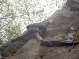 picture thumbnail