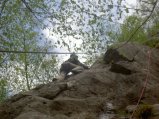 picture thumbnail