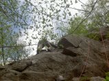 picture thumbnail