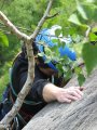 picture thumbnail