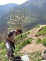 picture thumbnail