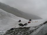 picture thumbnail